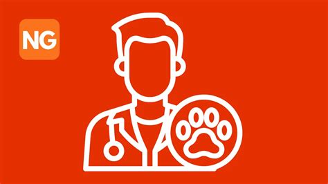 how to become a vet in bitlife